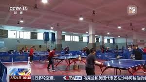 BSport体育官网 乒乓球台的一般高度是多少